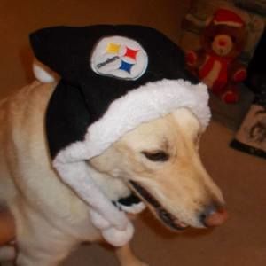 Meet your Posher, Becky